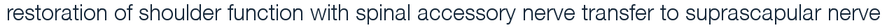 restoration of shoulder function with spinal accessory nerve transfer to suprascapular nerve